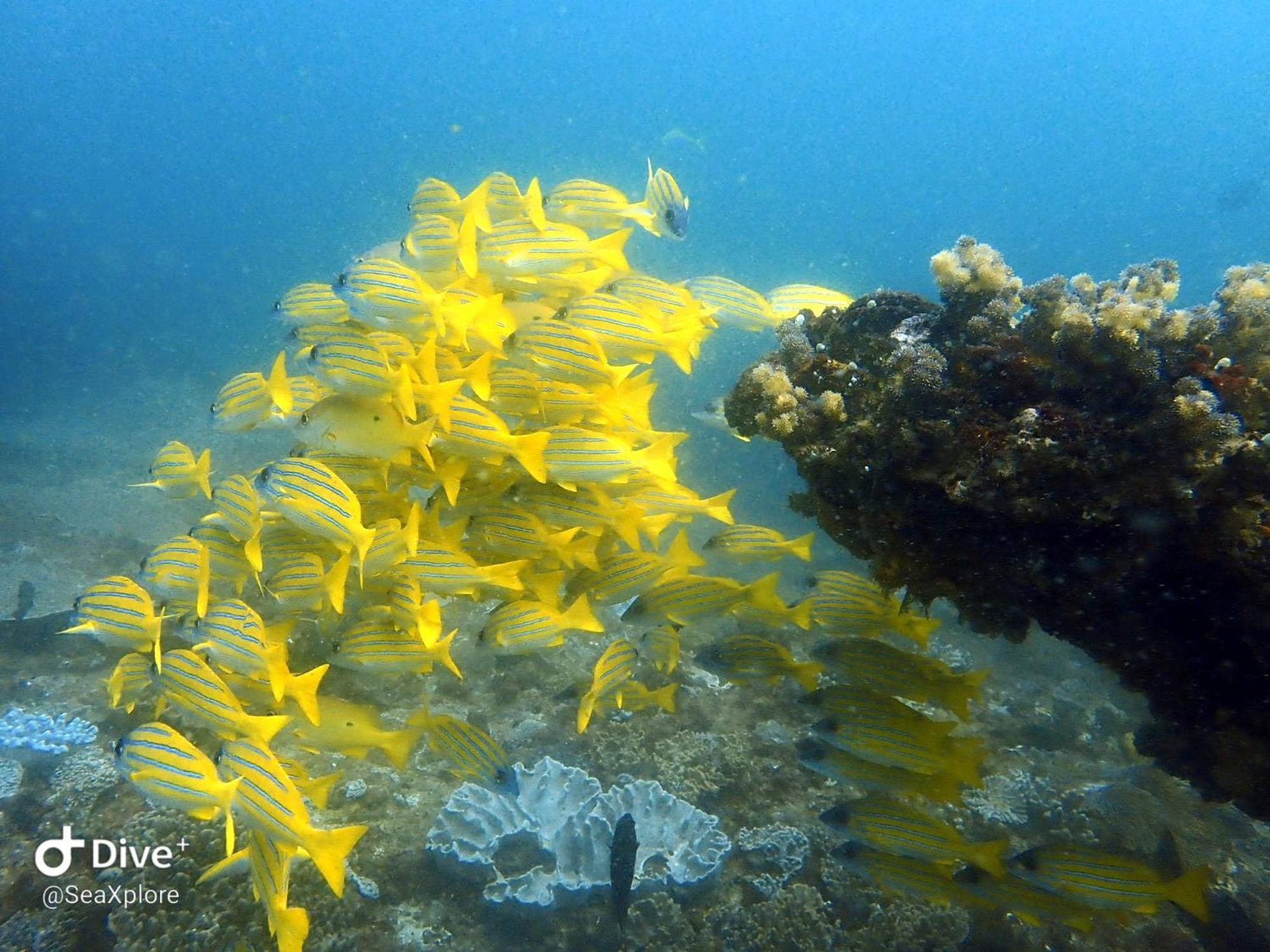 Seaxplore Lodge & Dive Center Sodwana Bay Extérieur photo